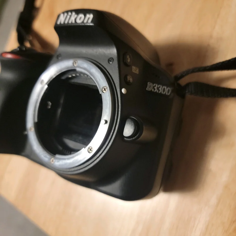 Nikon D3300, 18-55mm lens, 55-200mm lens, and power adapter
